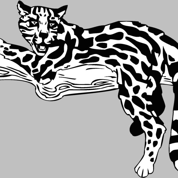 ocelot Thumbnail