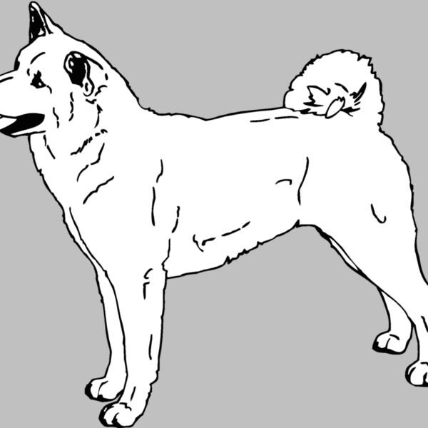 akita Thumbnail