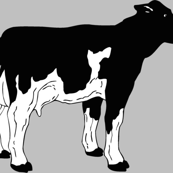 cow3 Thumbnail