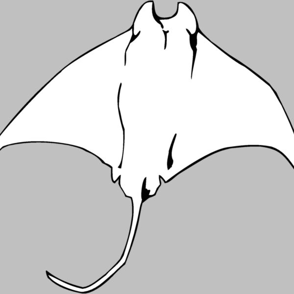 mantaray01 Thumbnail