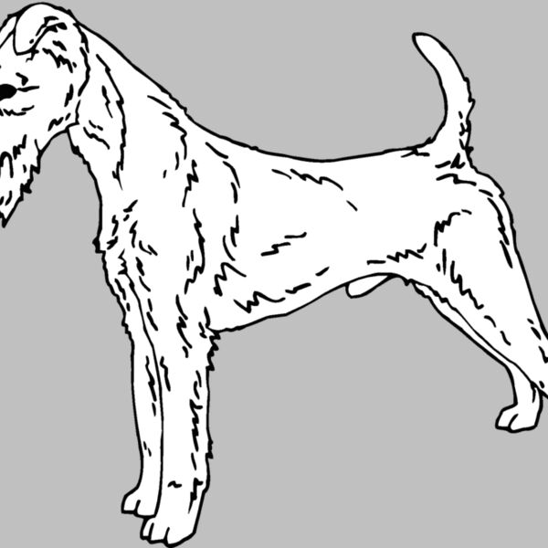 irish terrier Thumbnail