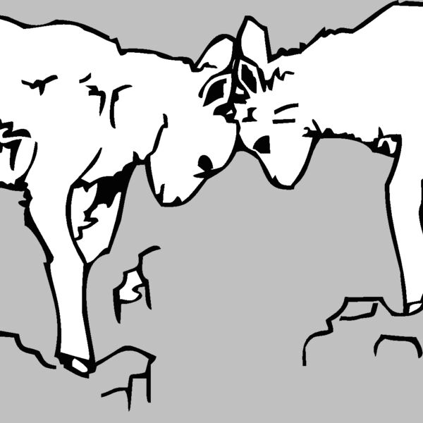 mountaingoatkids Thumbnail