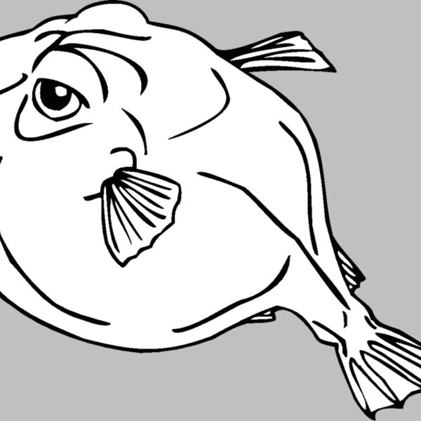 pufferfish Thumbnail