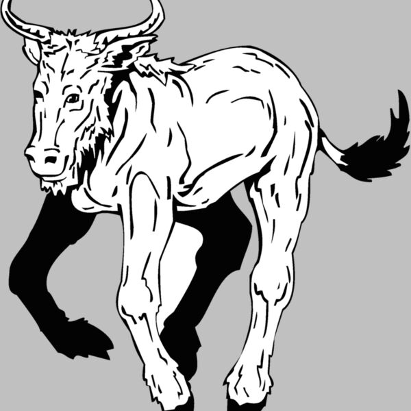 mountain goat Thumbnail