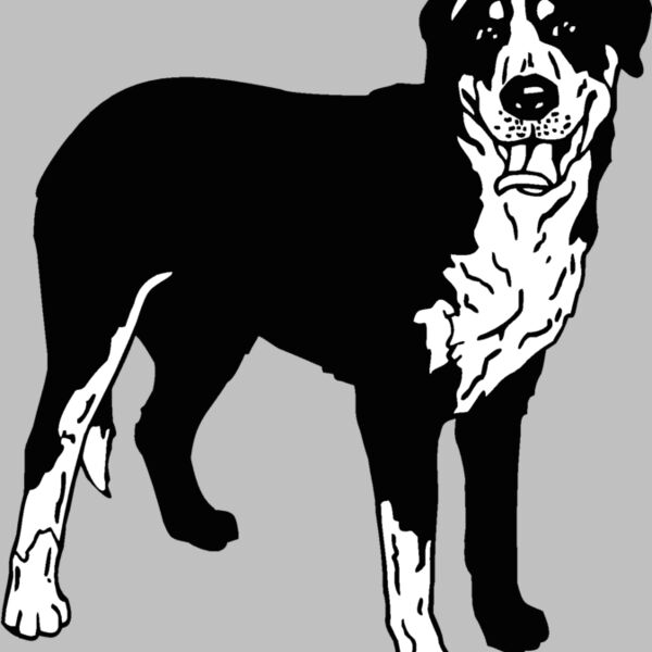 greater swiss mountain dog Thumbnail
