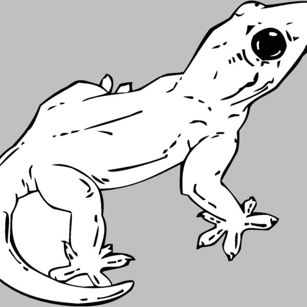 gecko Thumbnail