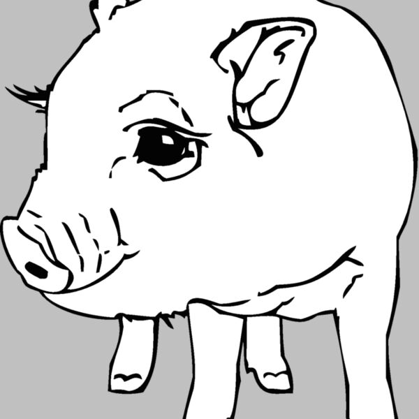 potbellypig Thumbnail