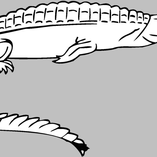 teleosaurus Thumbnail