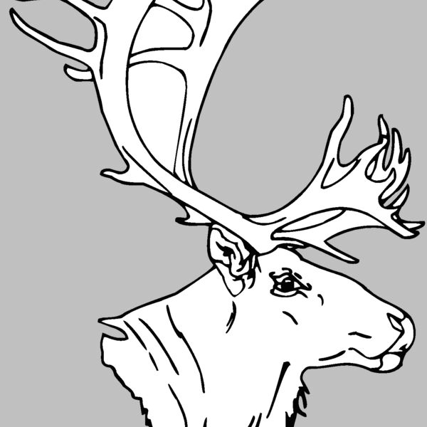caribou  Thumbnail