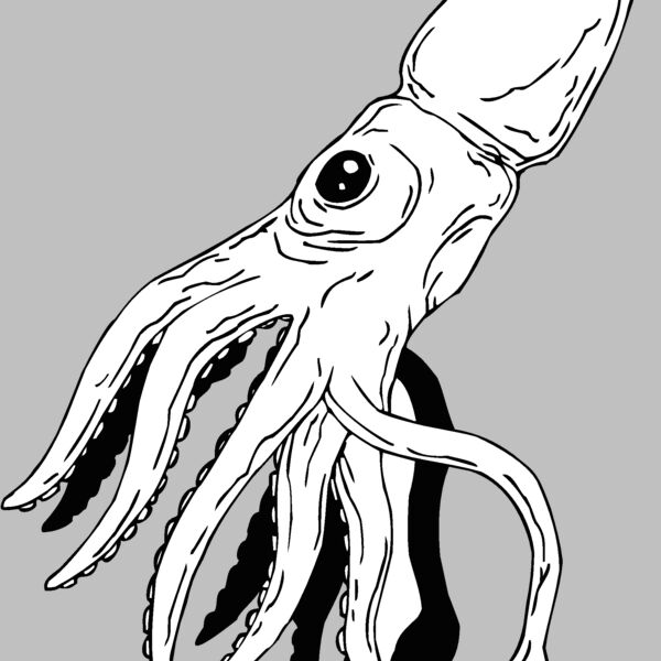 squid Thumbnail