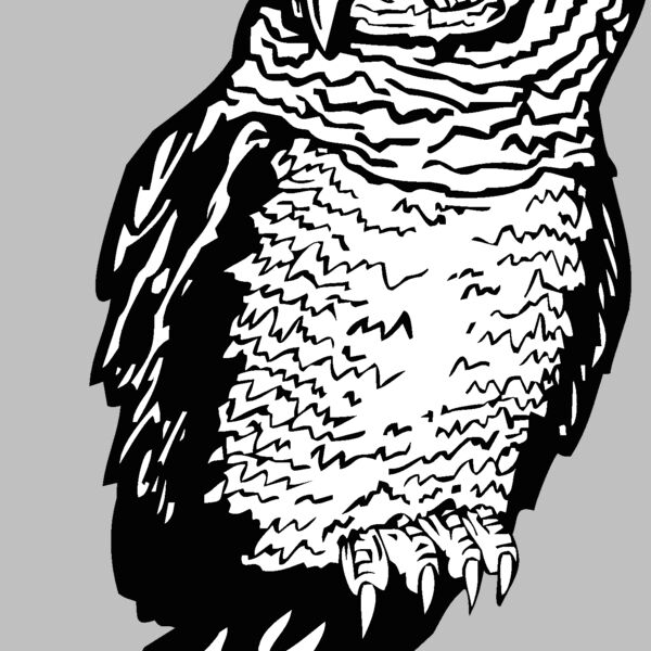 owl Thumbnail