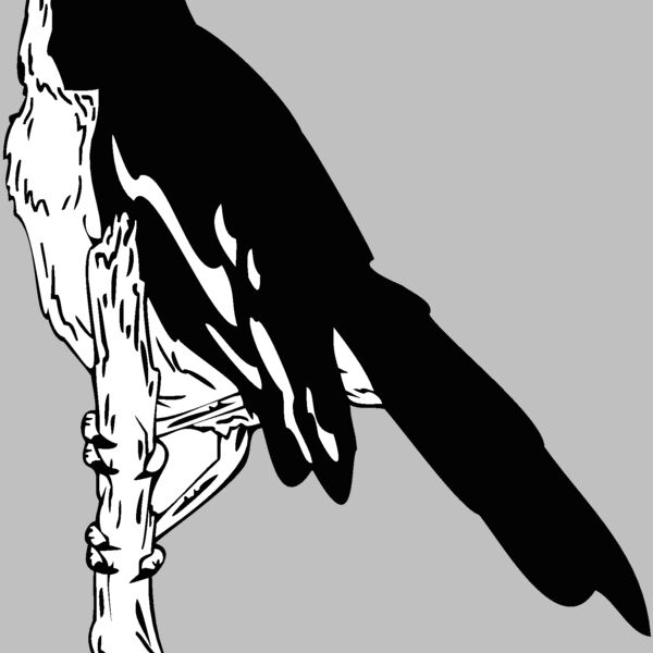 bird16 Thumbnail