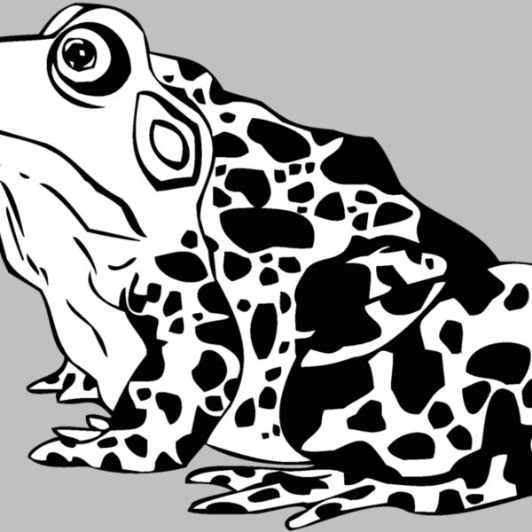 frog Thumbnail
