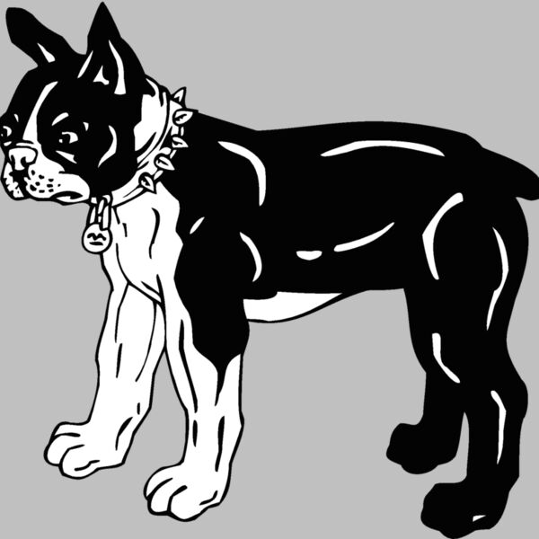 boston terrier Thumbnail