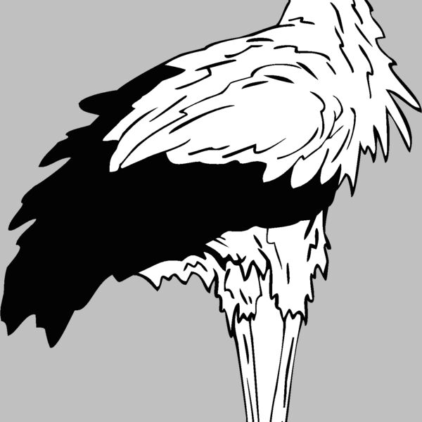 stork Thumbnail
