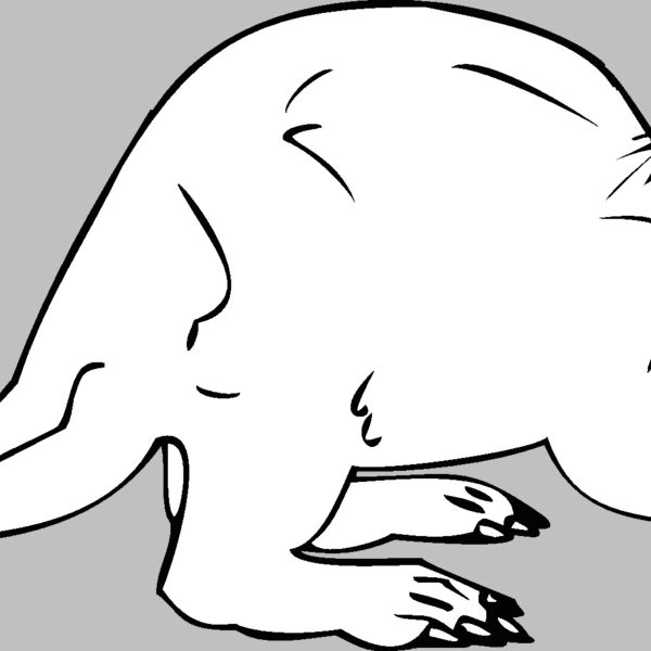 aardvark Thumbnail