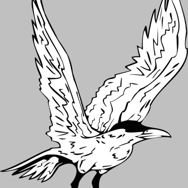 bird4 Thumbnail