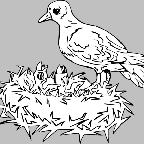 mom w chicks Thumbnail