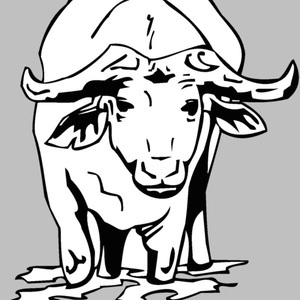 water buffalo Thumbnail
