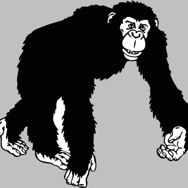 chimpanzee Thumbnail
