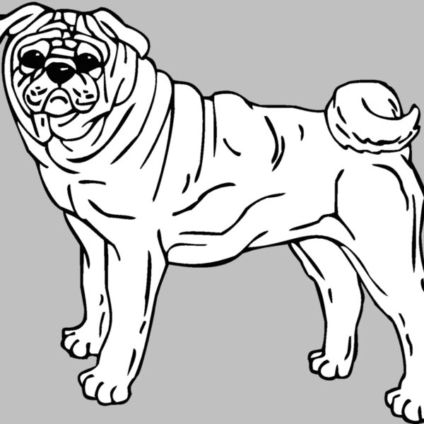 pug Thumbnail