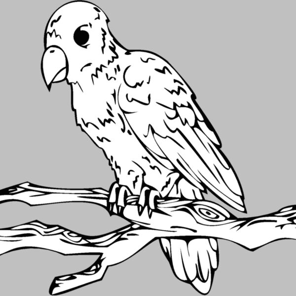 bird on limb Thumbnail