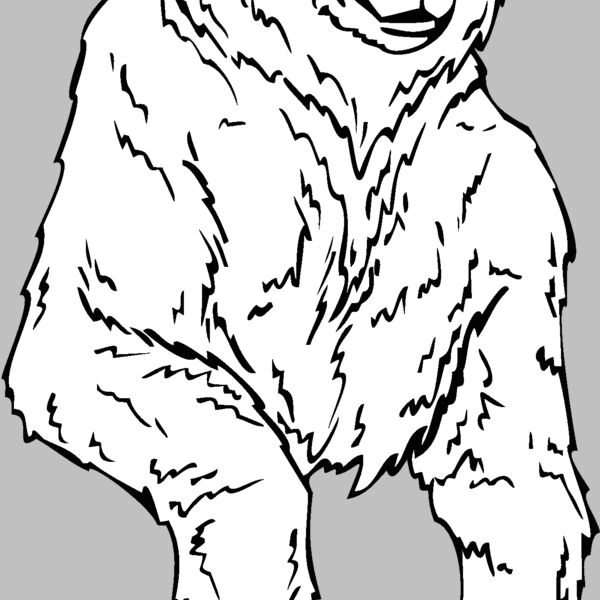 bear Thumbnail