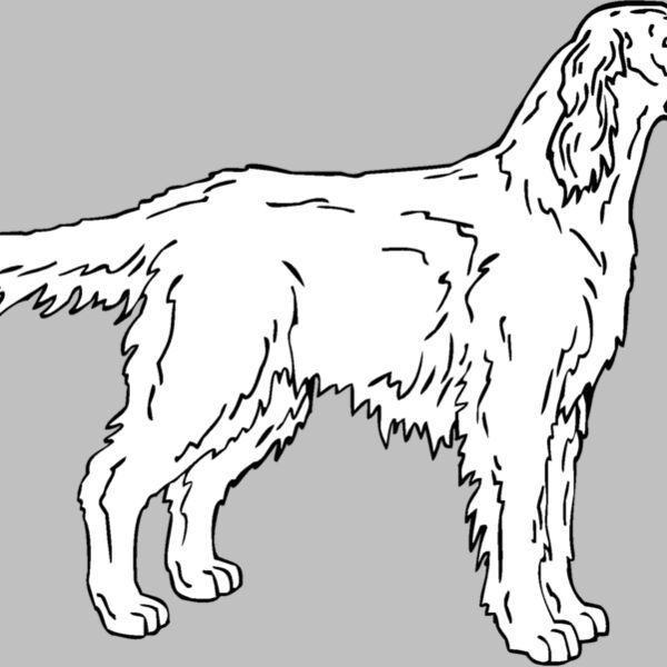 irish setter 2 Thumbnail