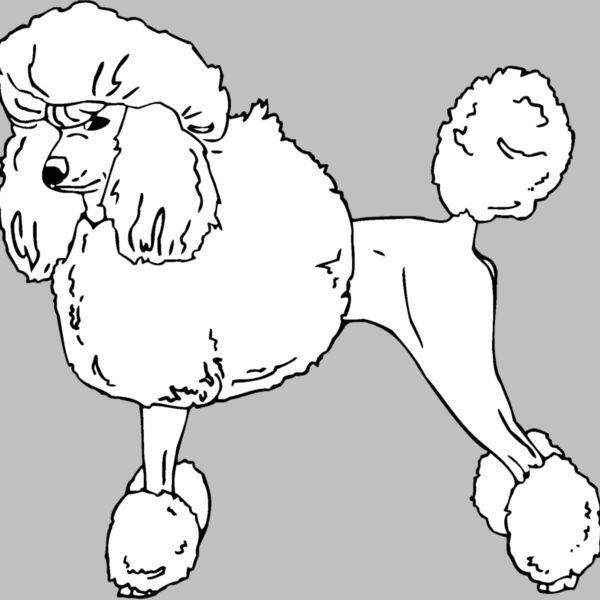 poodle Thumbnail
