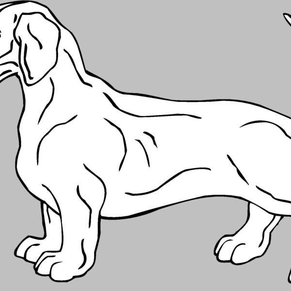 dashchund1 Thumbnail