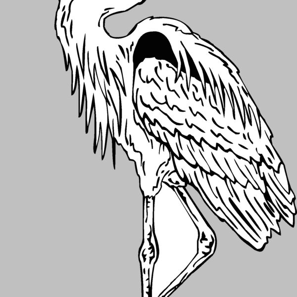 great heron Thumbnail