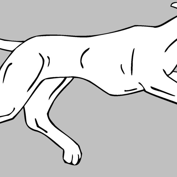 whippet  Thumbnail