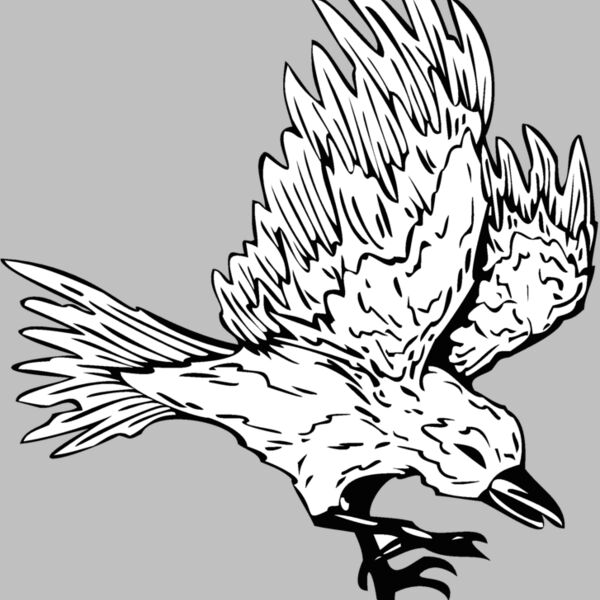 bird13 Thumbnail