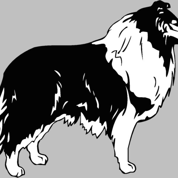 collie Thumbnail