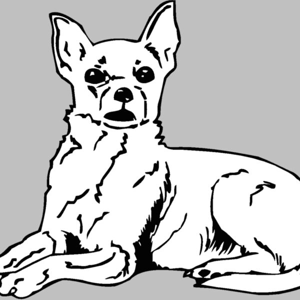 chihuahua2 Thumbnail