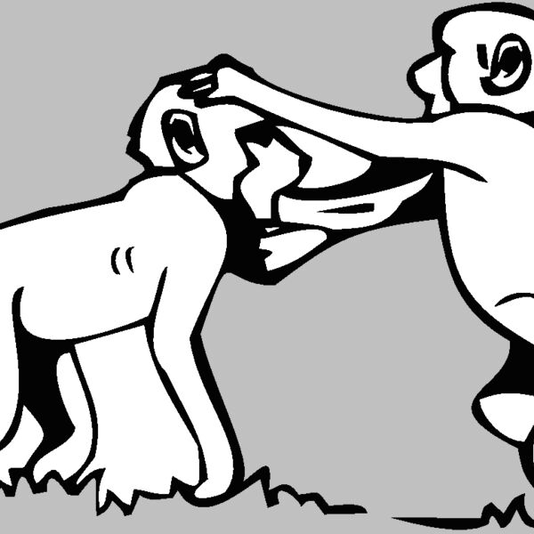 babybaboons Thumbnail