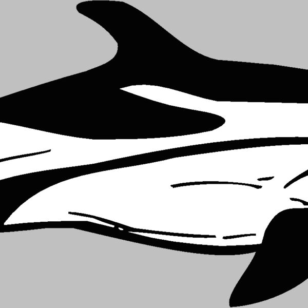stripeddolphin  Thumbnail