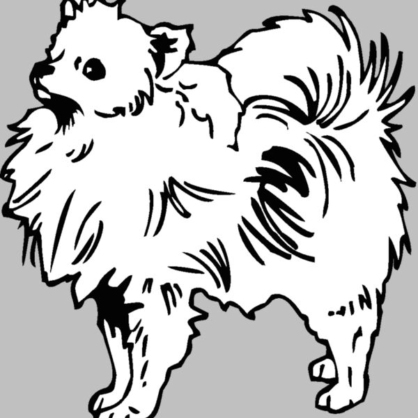 pomeranian Thumbnail