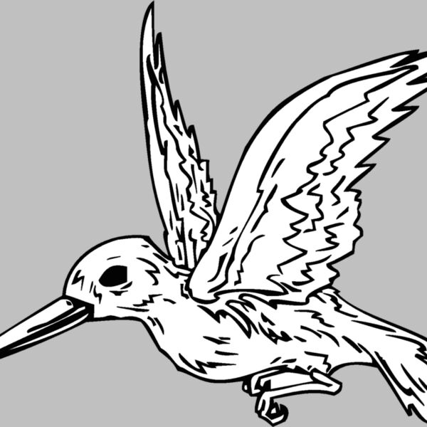 hummingbird Thumbnail