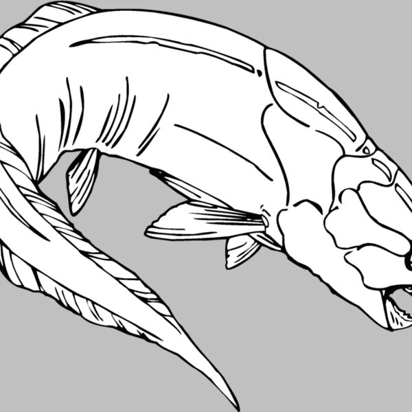 armored dunkleosteus Thumbnail
