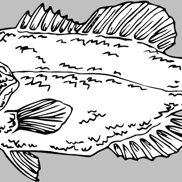 largemouthbass Thumbnail