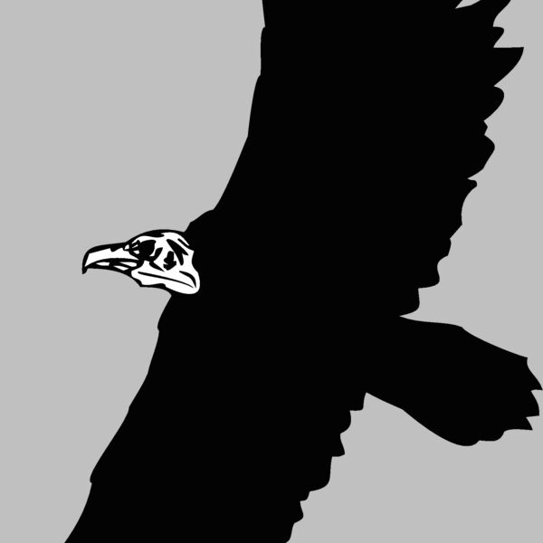 vulture Thumbnail