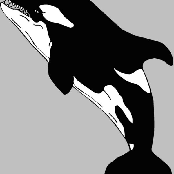 killerwhale01 Thumbnail