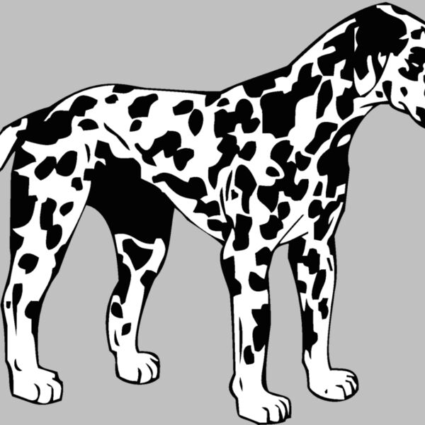 dalmation Thumbnail
