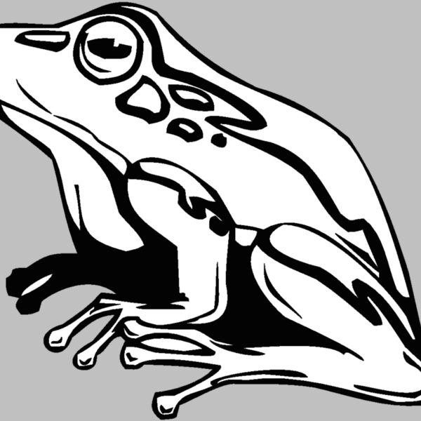 frog3 Thumbnail