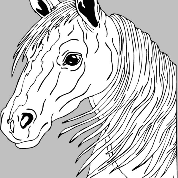 horsehead04 Thumbnail