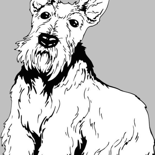 scottish terrier 2 Thumbnail