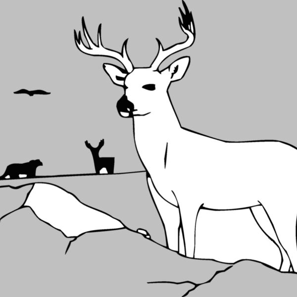 deer Thumbnail