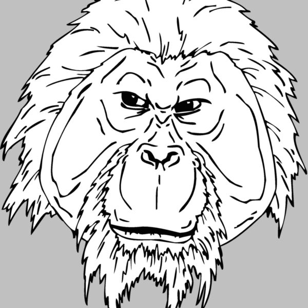 orangutan3 Thumbnail