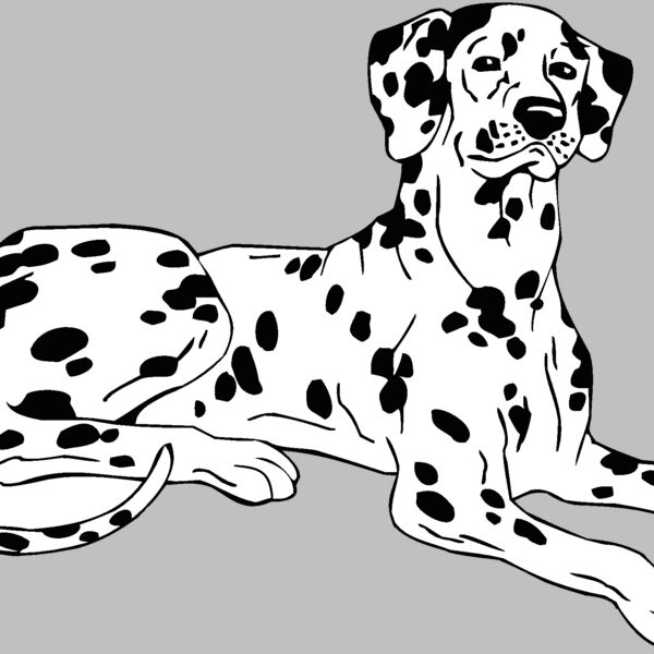 dalmatio Thumbnail